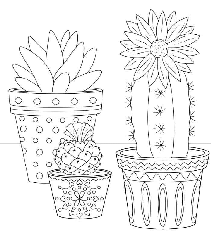 Coloriage Three Potted Cactus