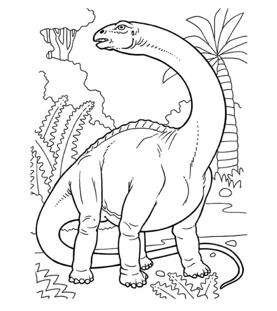 Apatosaure coloring page