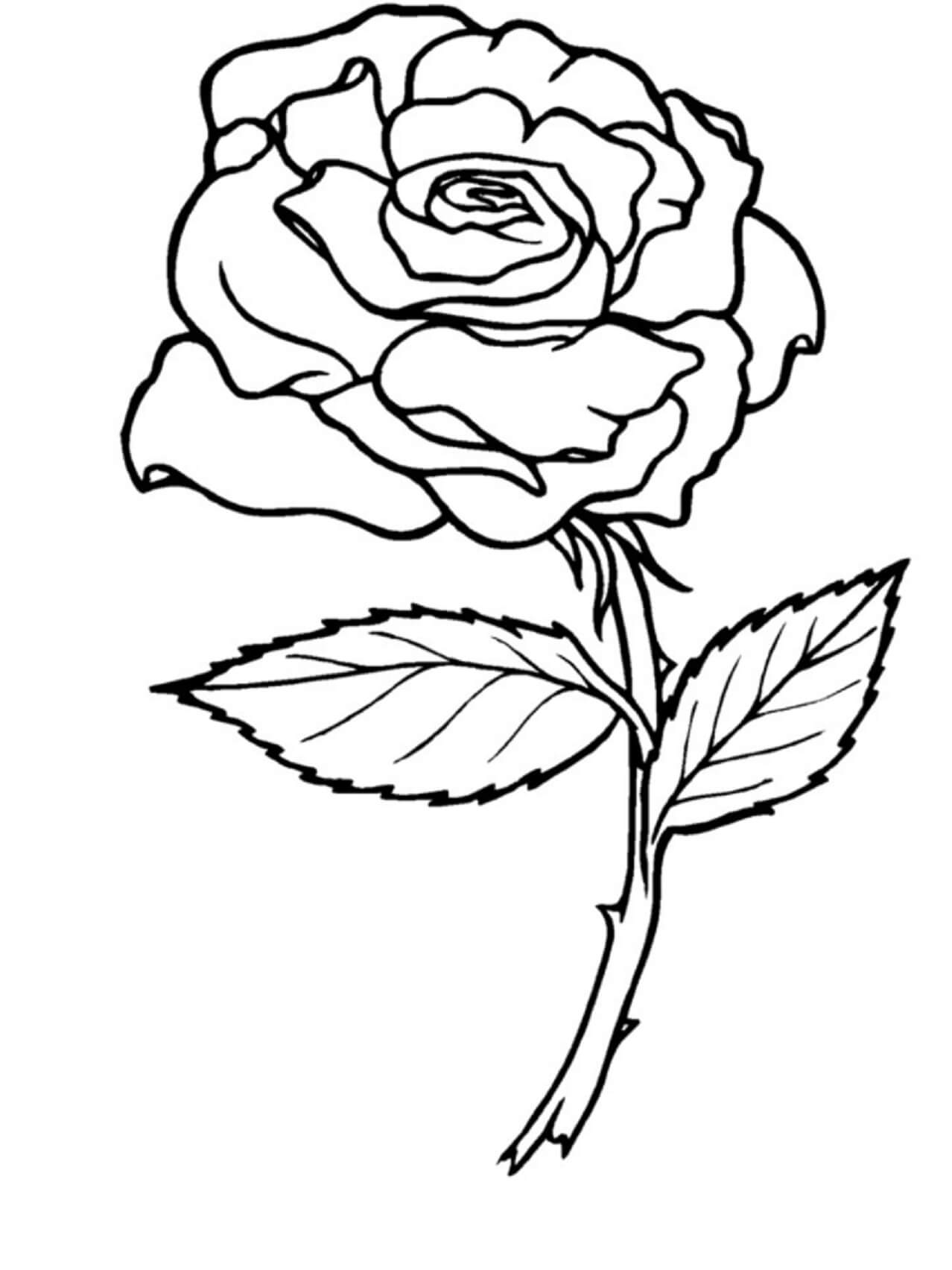 Belle Rose coloring page