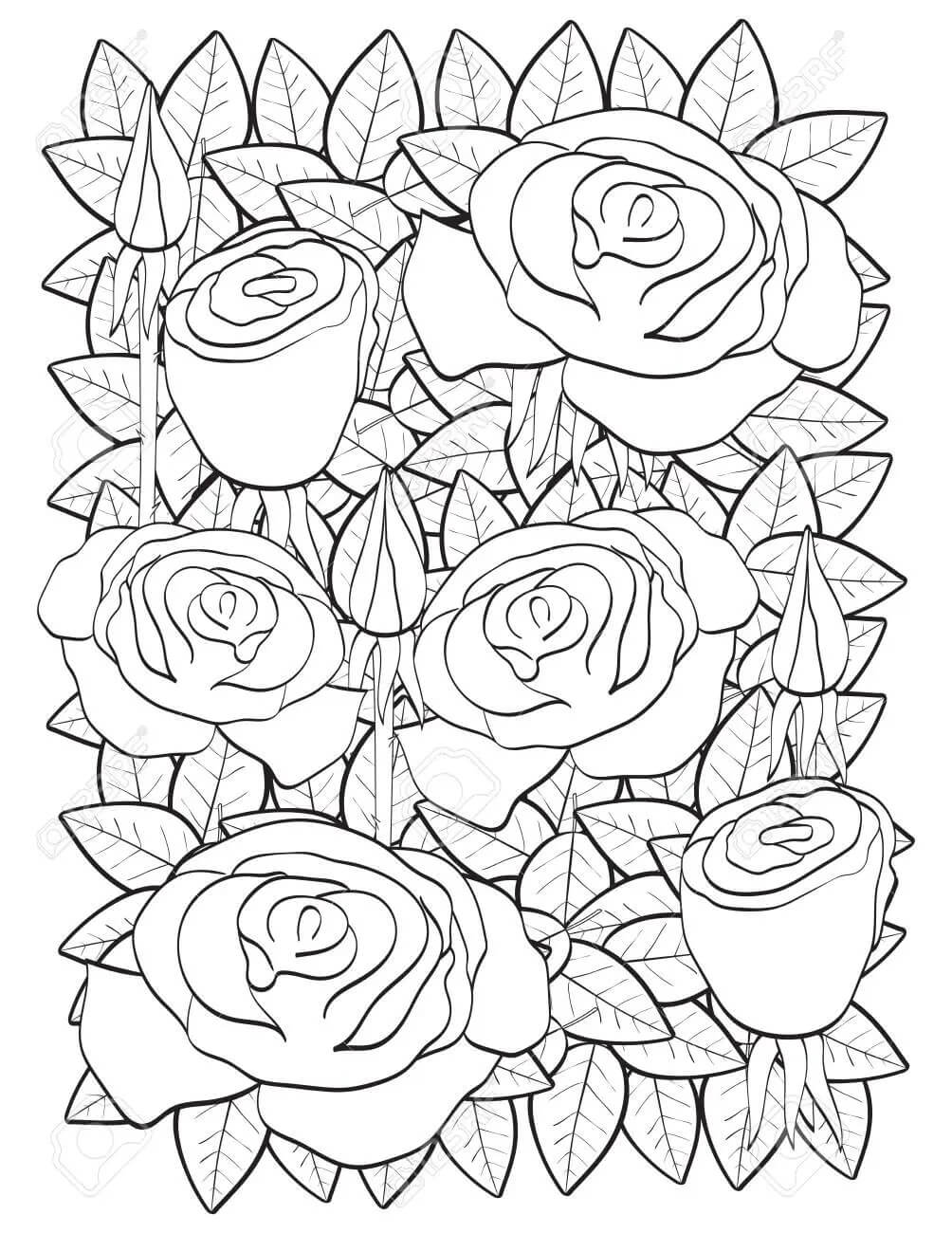 Coloriage Rose Avec Coeur T l charger Et Imprimer Gratuit Sur