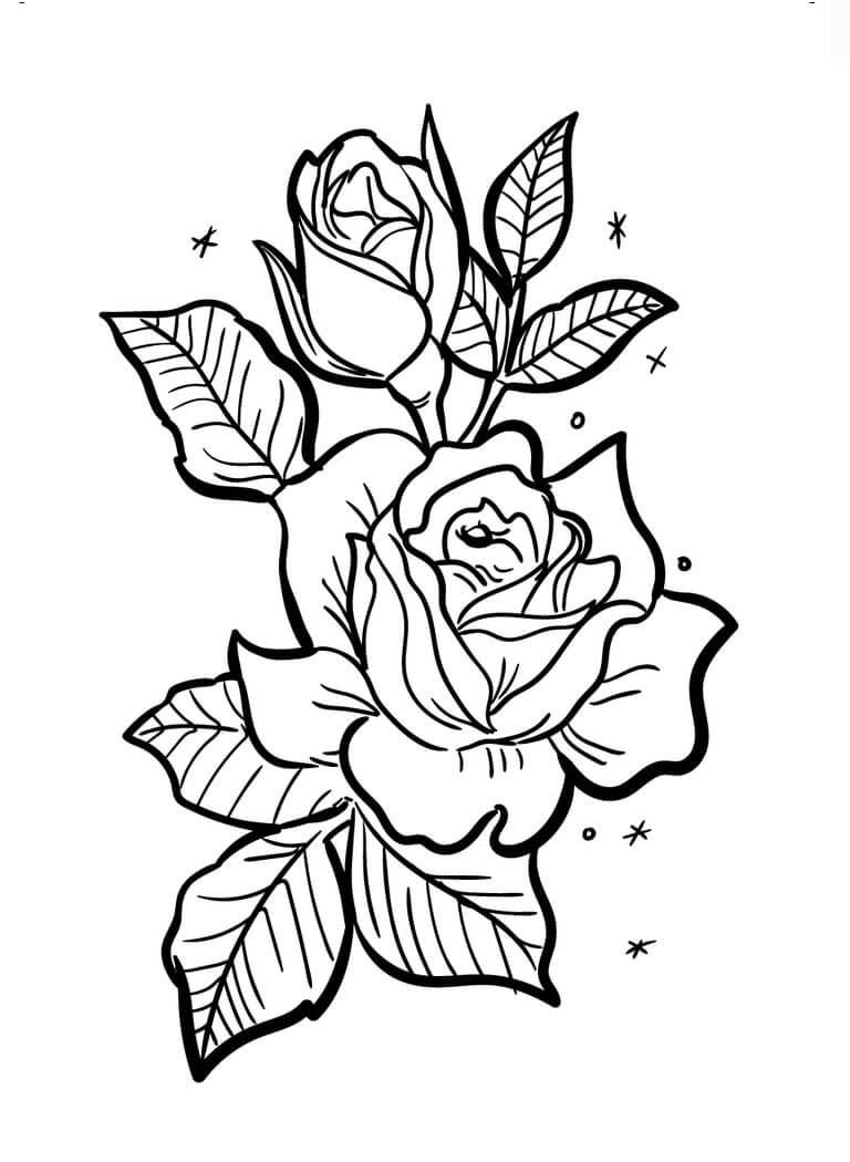 Belles Roses coloring page