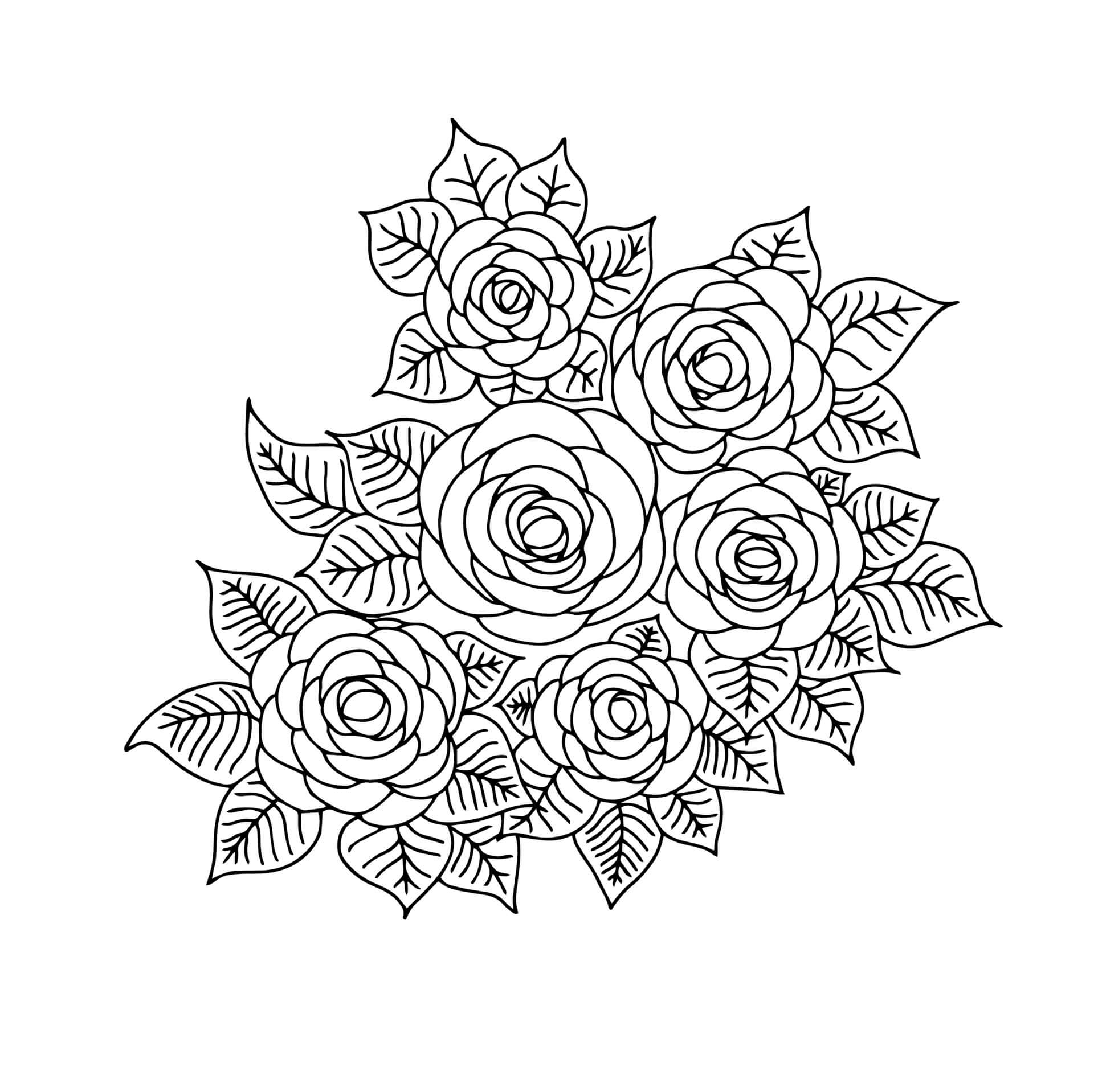 Belles Roses coloring page