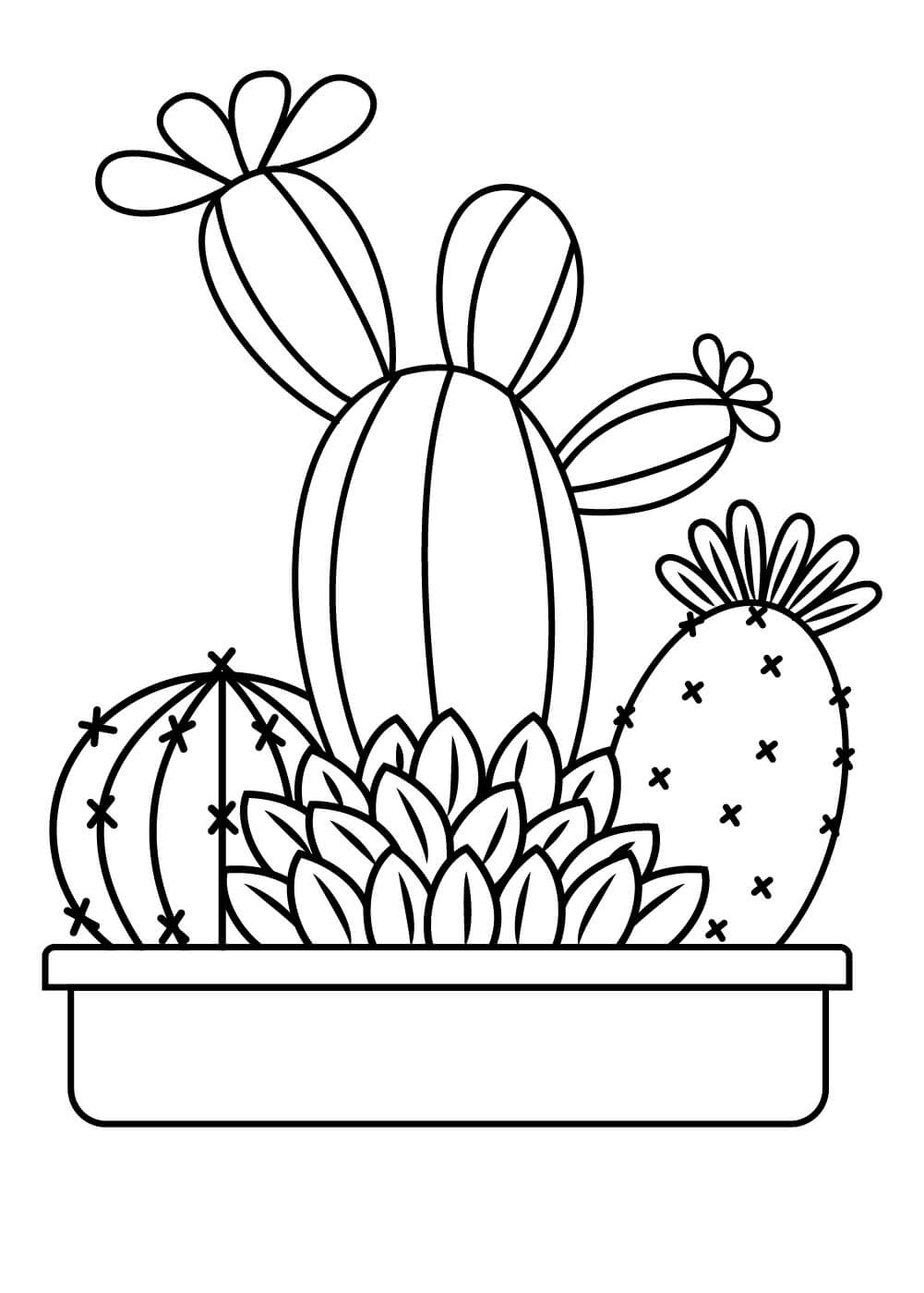 Coloriage Cactus en pot gratuit