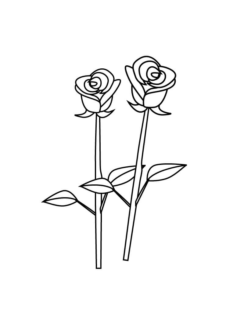 Coloriage Deux Roses