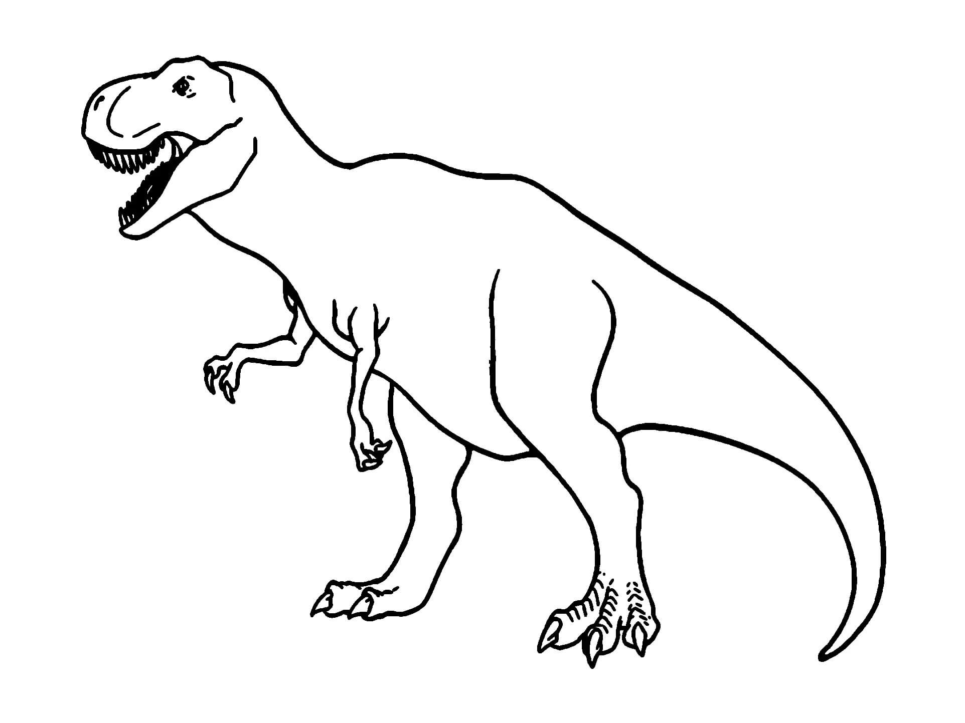 Dinosaure Tyrannosaure coloring page