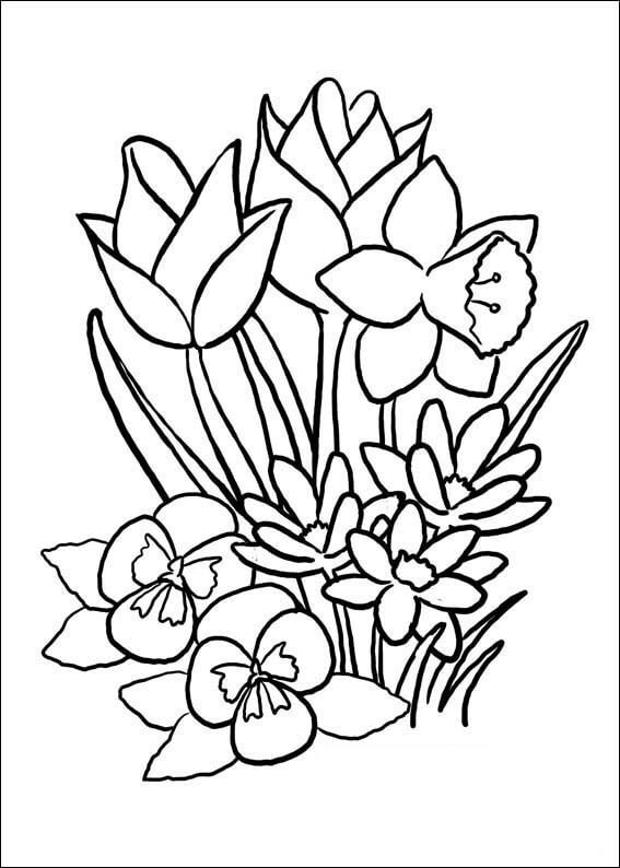 Fleurs de Printemps coloring page