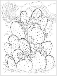 Coloriage Incroyable Cactus