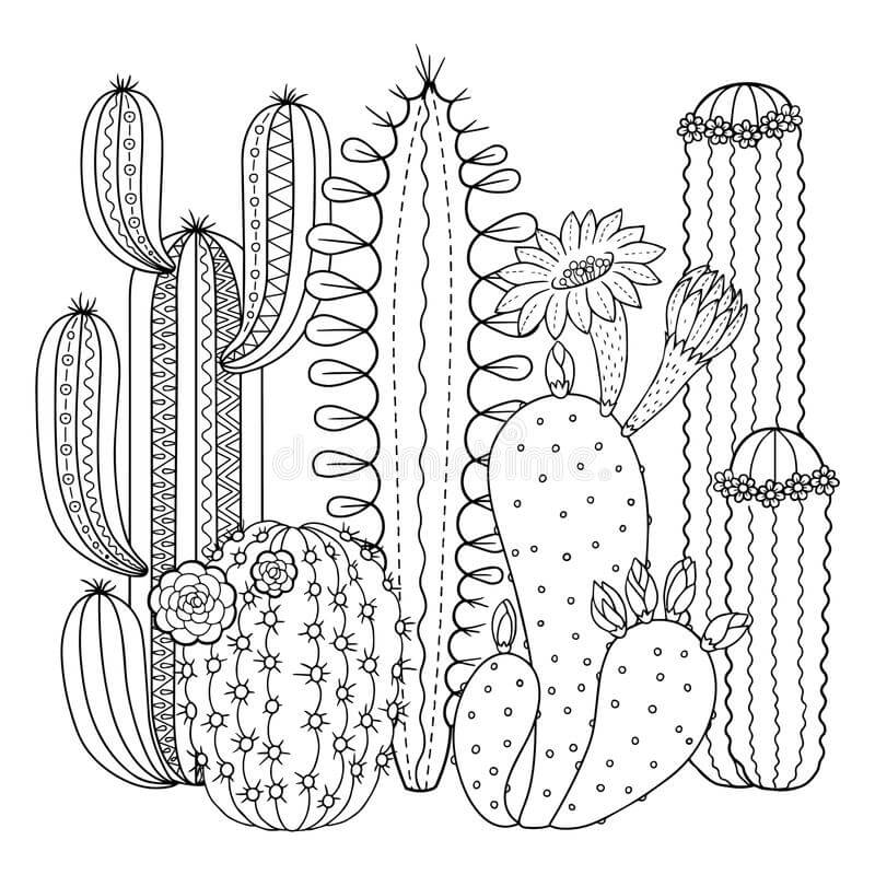 Coloriage Jardin de cactus
