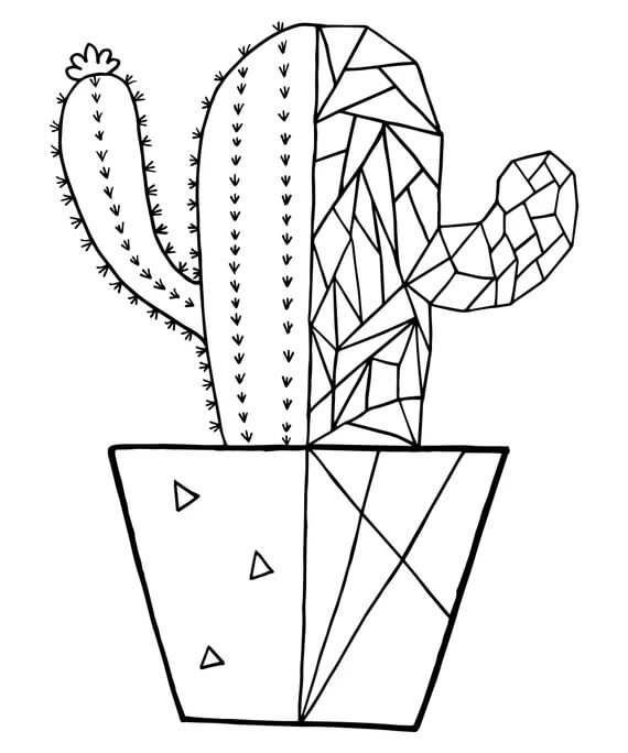 Coloriage Joli Cactus