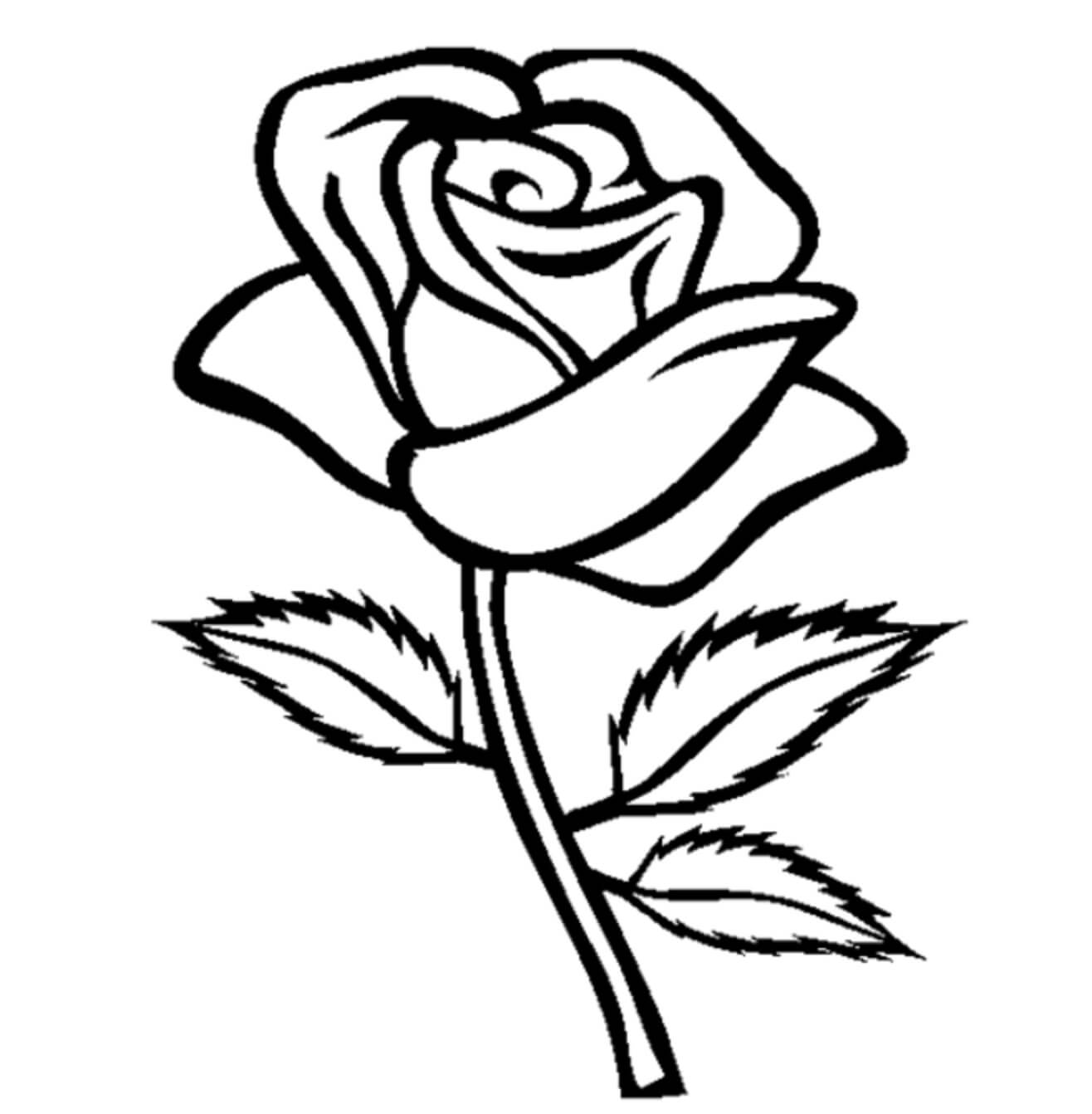 Jolie Rose coloring page