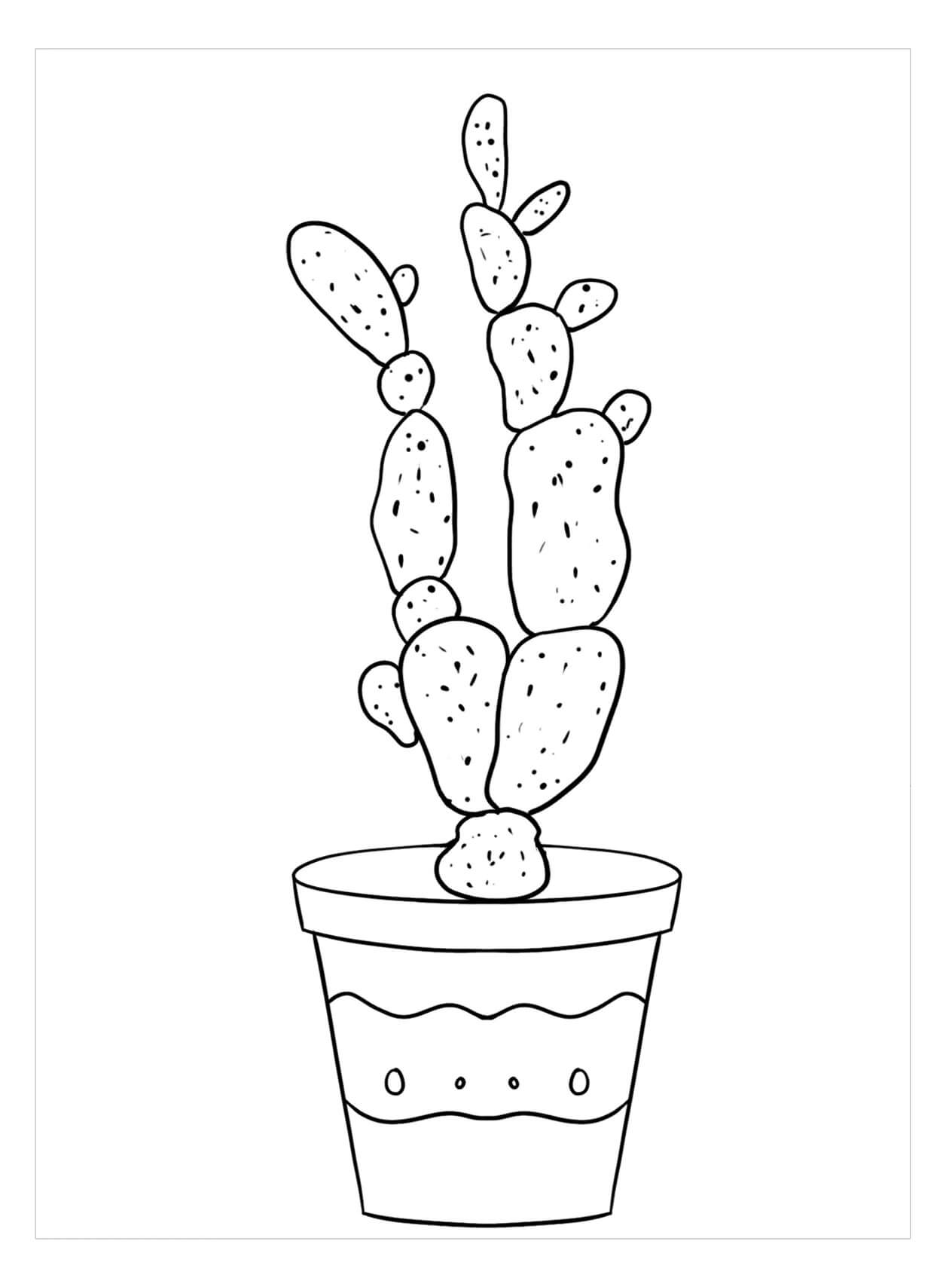 Coloriage Lady Fingers Cactus
