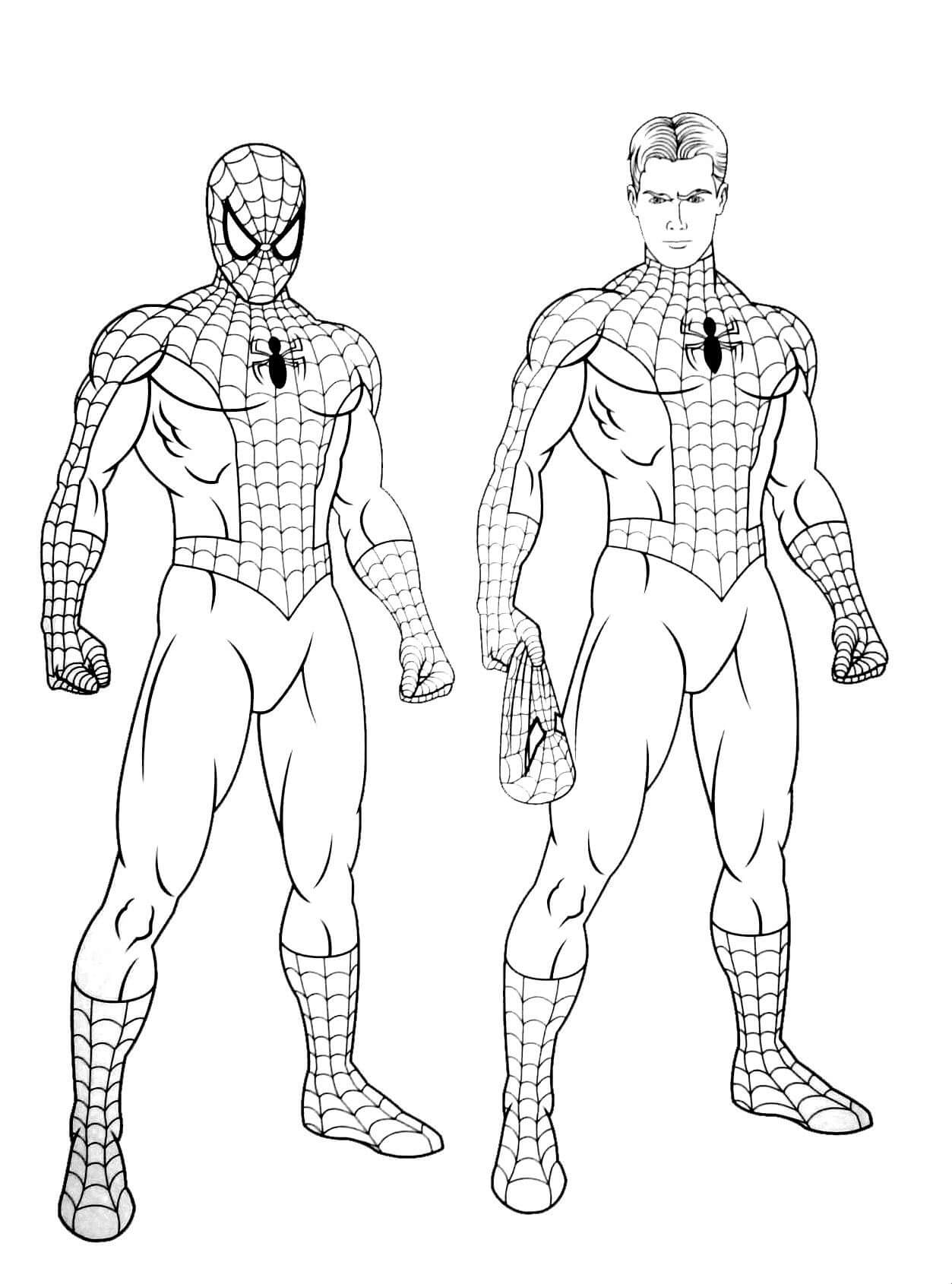 Coloriage Marvel Spiderman