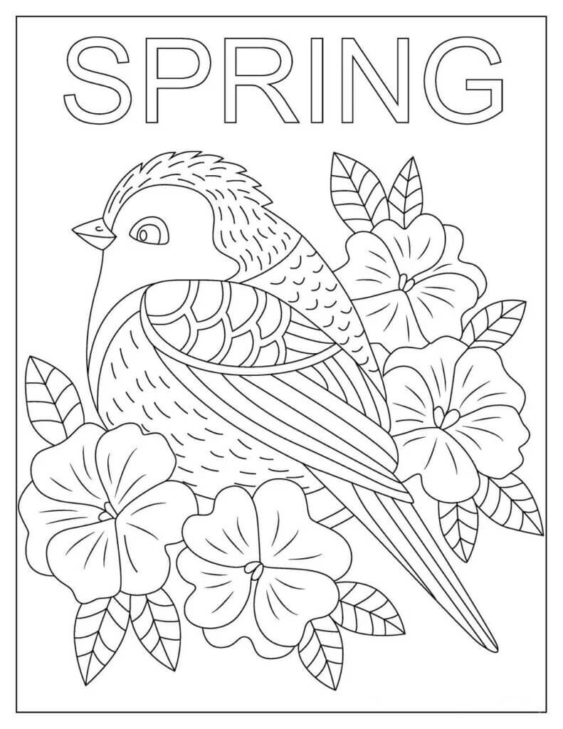 Oiseau de Printemps coloring page