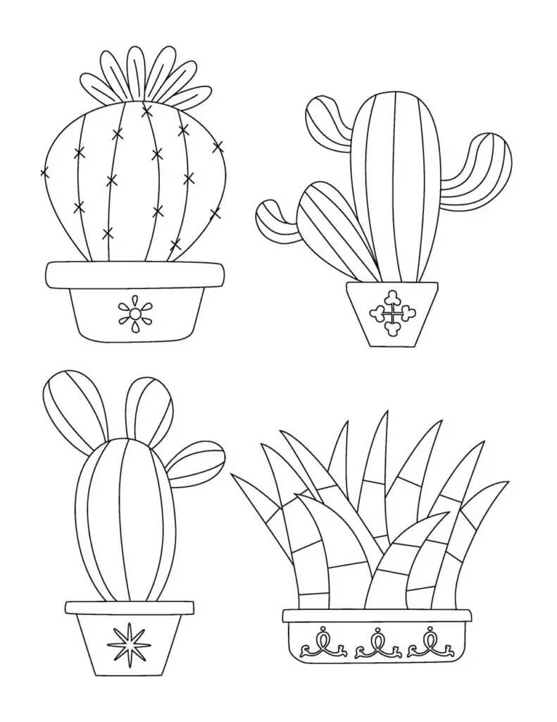 Coloriage Quatre cactus en pot