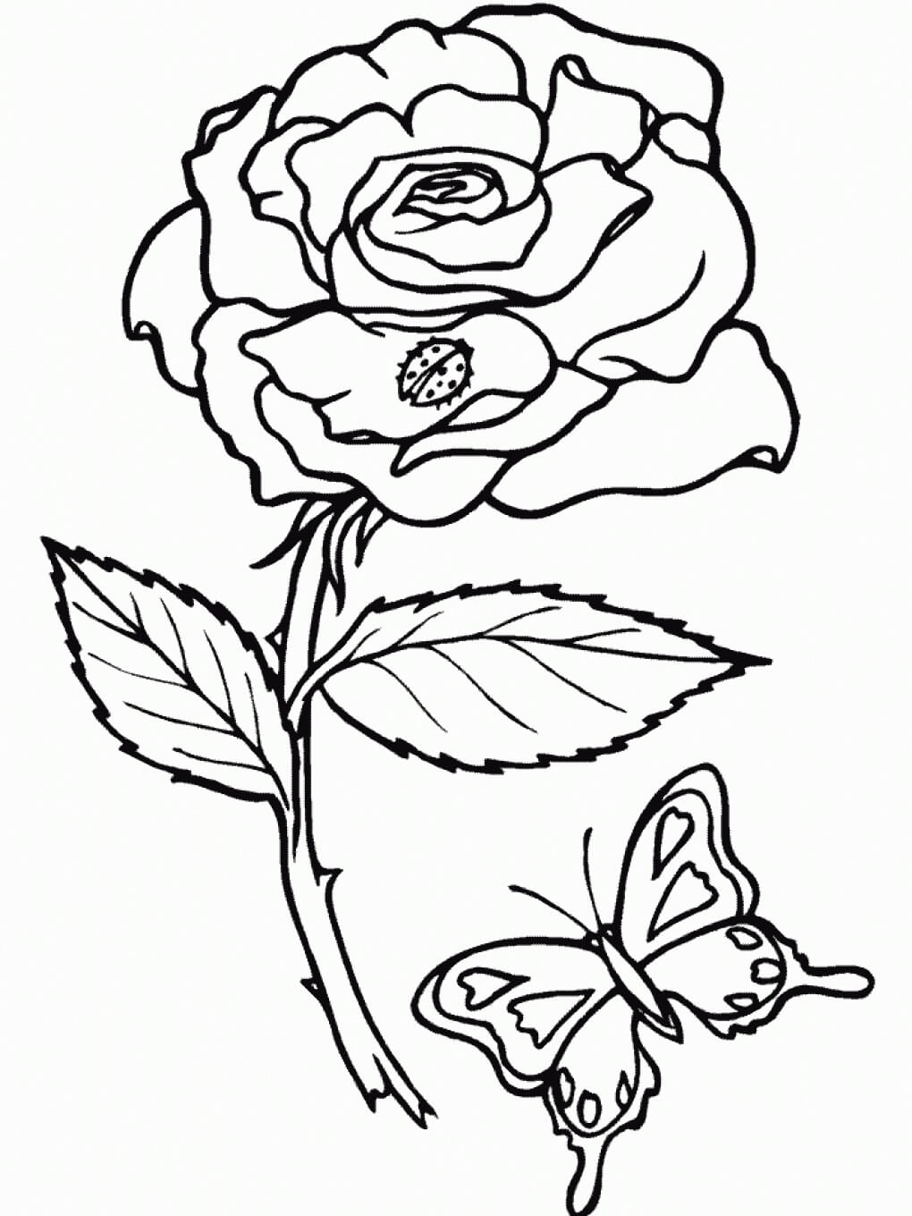 Coloriage Rose et Papillon