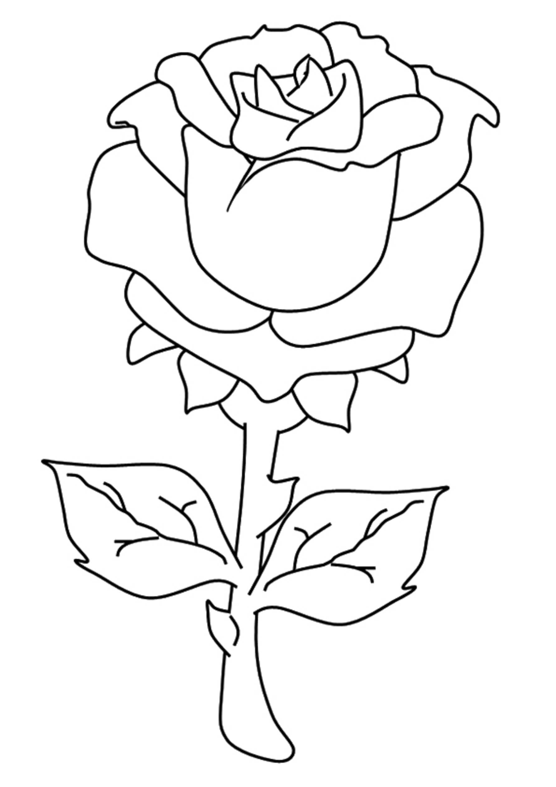 Coloriage Rose Gratuite