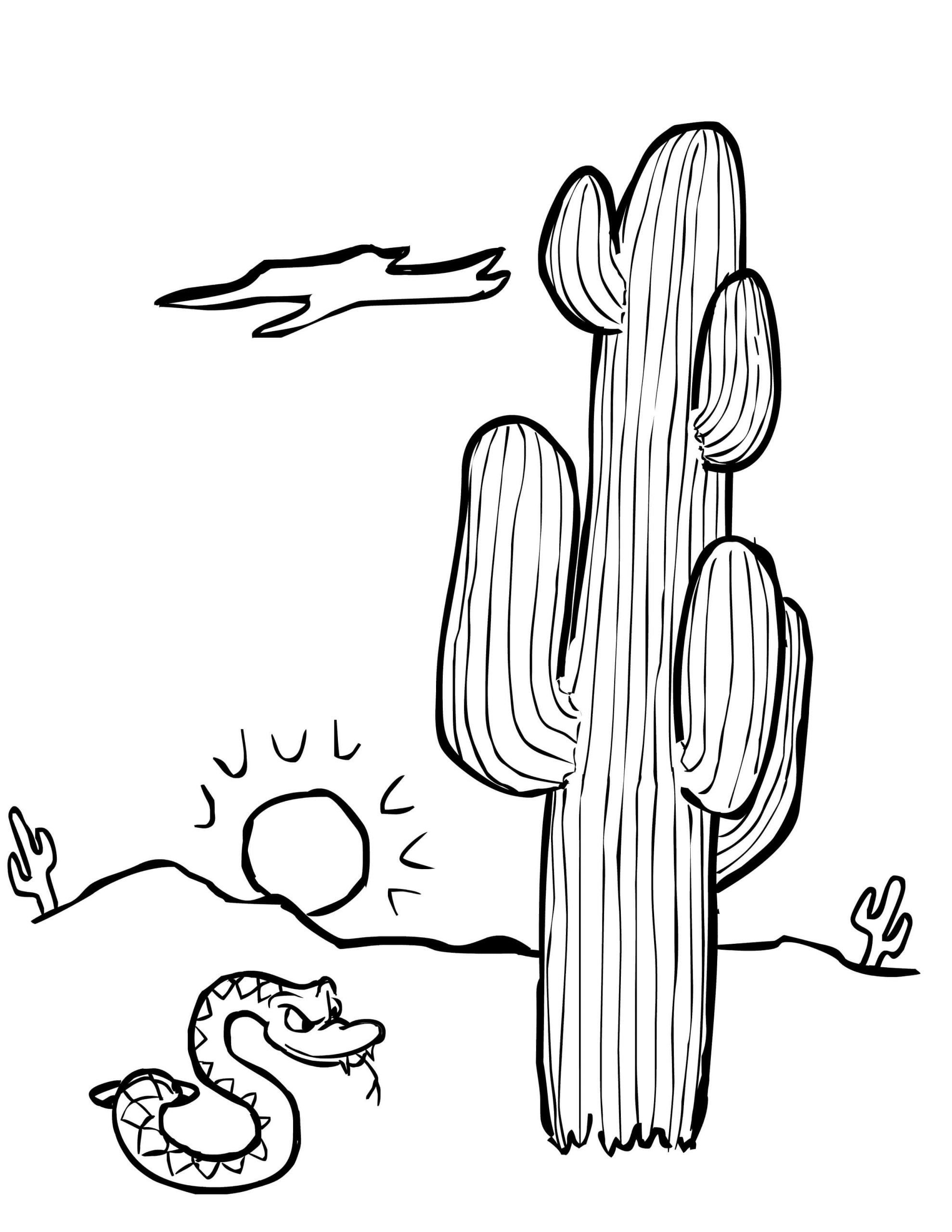 Coloriage Serpent avec Cactus
