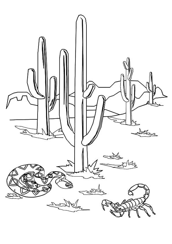 Coloriage Serpent et Scorpion avec Cactus