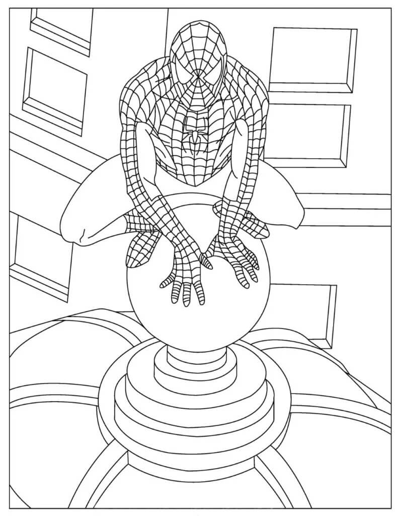 Spider-Man Sur le Toit coloring page