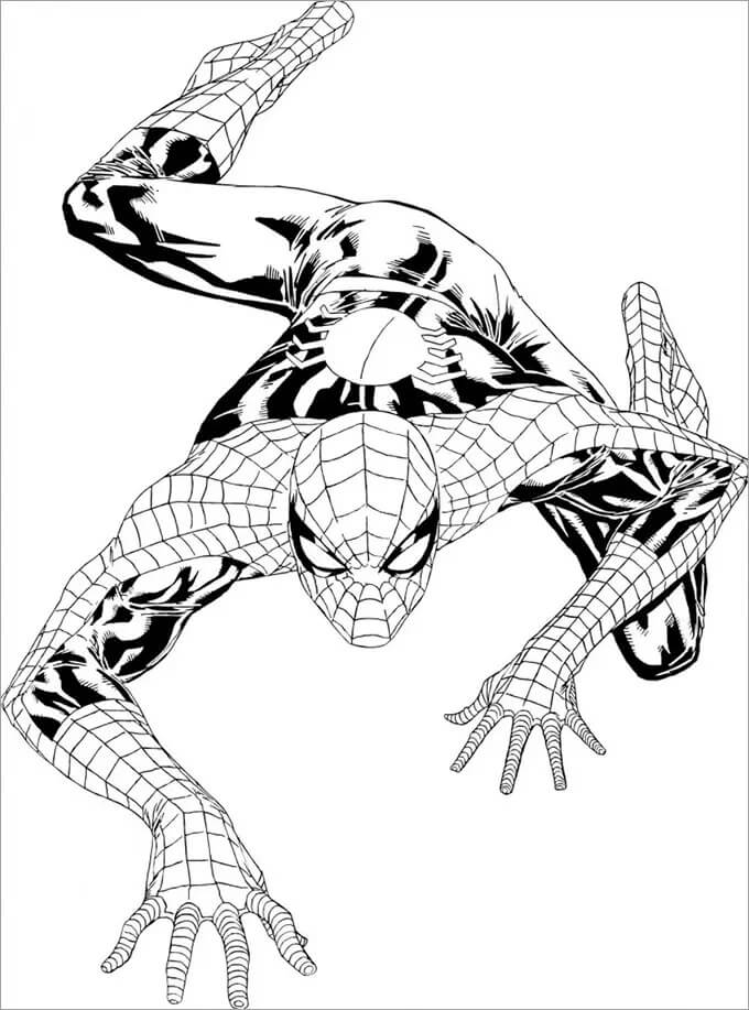 Spiderman 1 coloring page