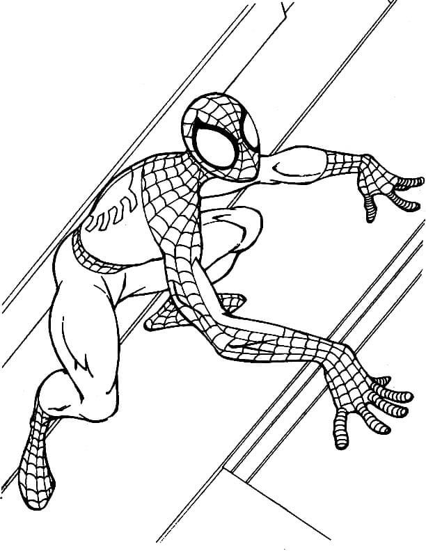 Coloriage Spiderman 11