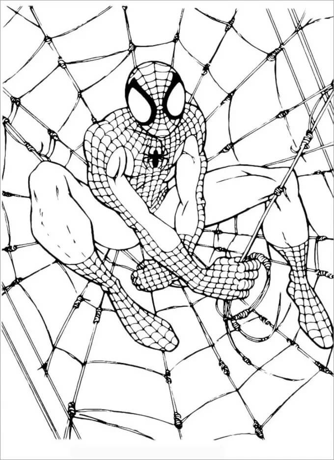 Spiderman 16 coloring page