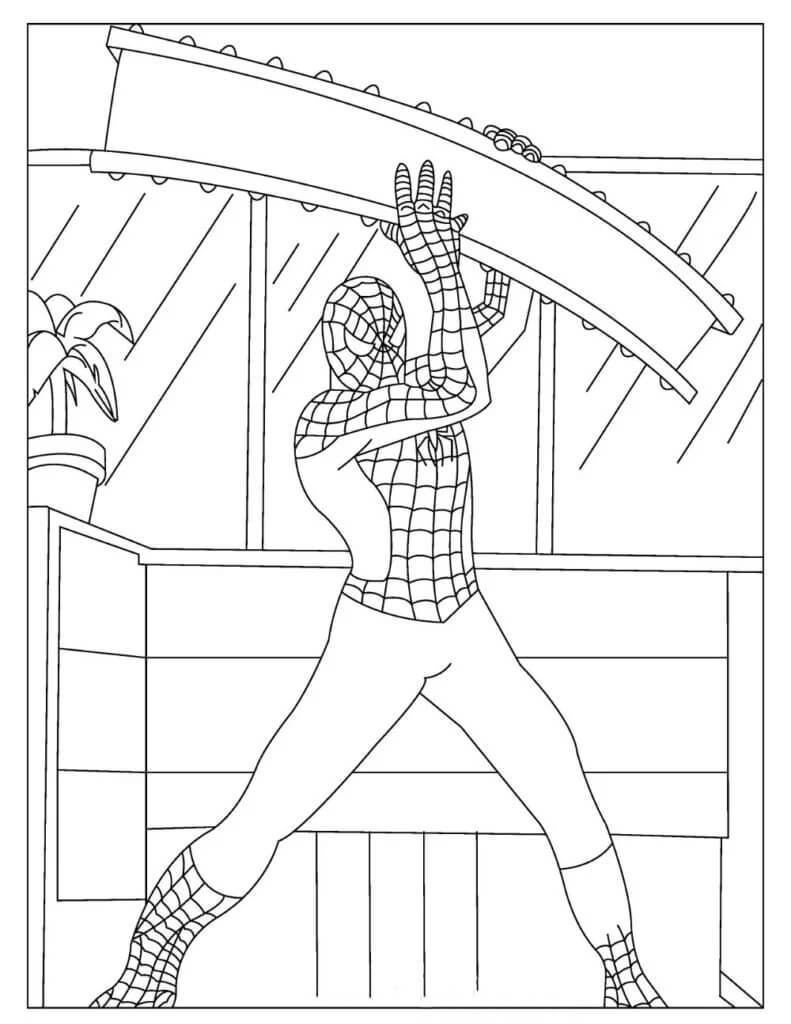 Spiderman 17 coloring page