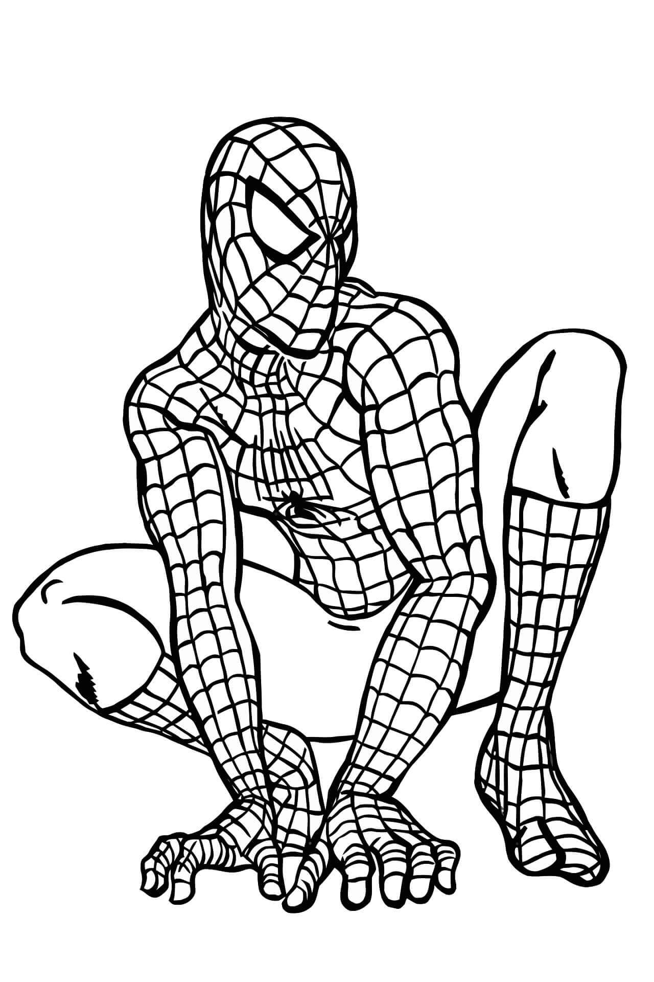 Coloriage Spiderman Assis