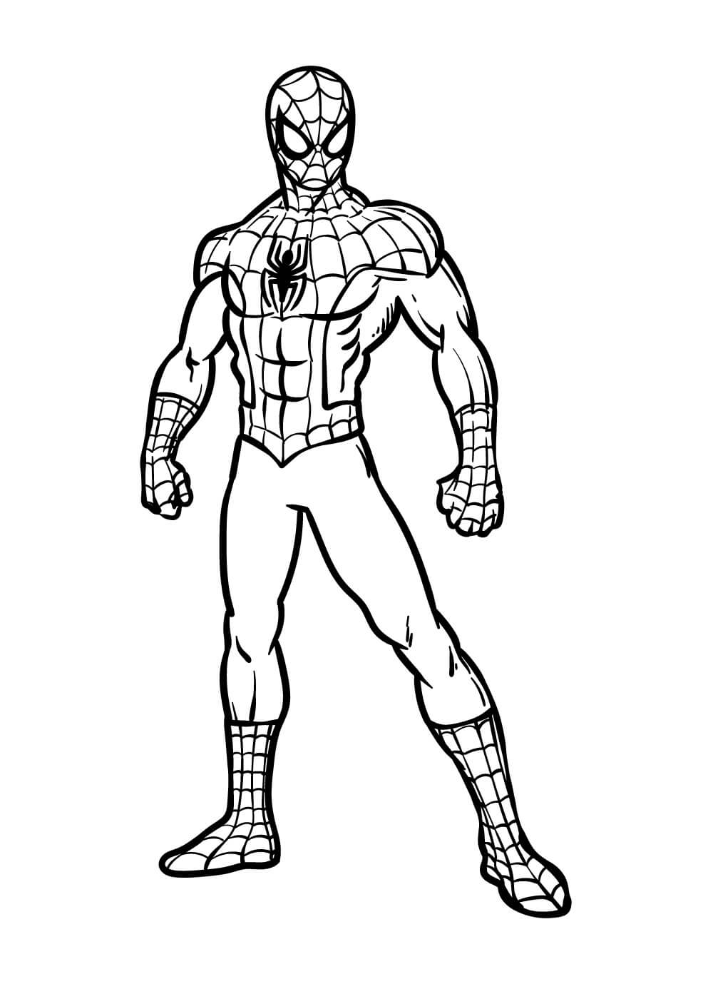 Coloriage Spiderman Debout