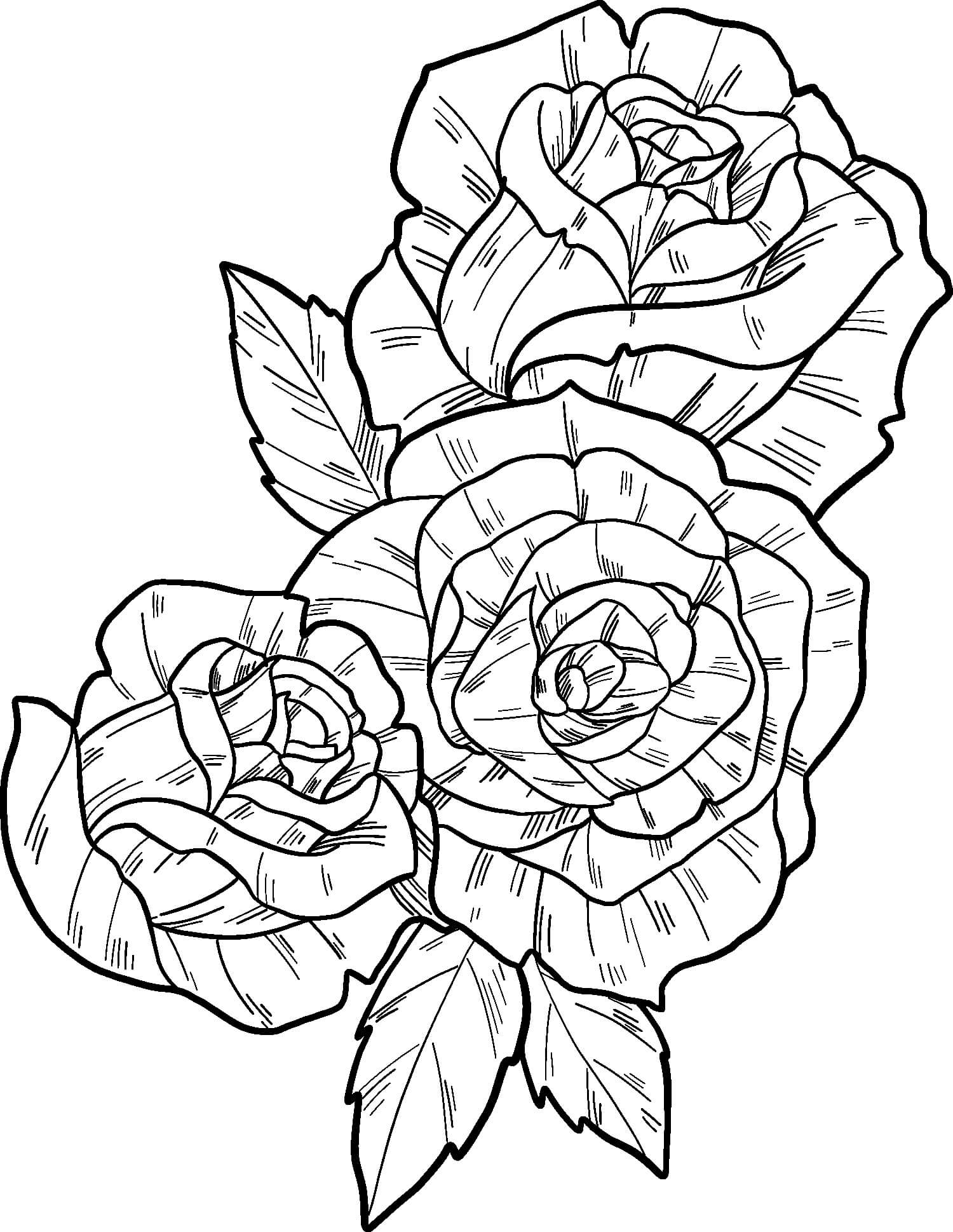 Trois Roses coloring page
