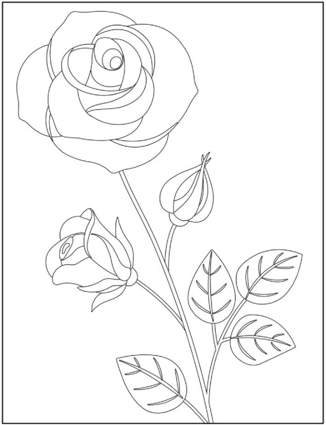 Une Rose coloring page
