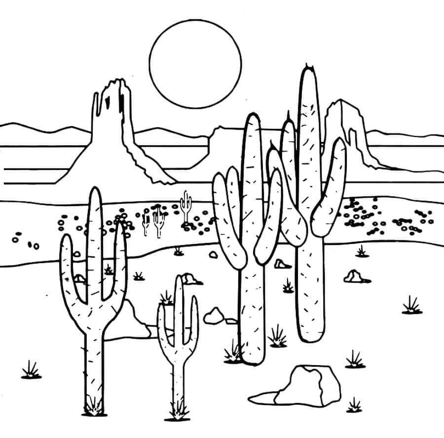 Coloriage Zone aride avec Cactus