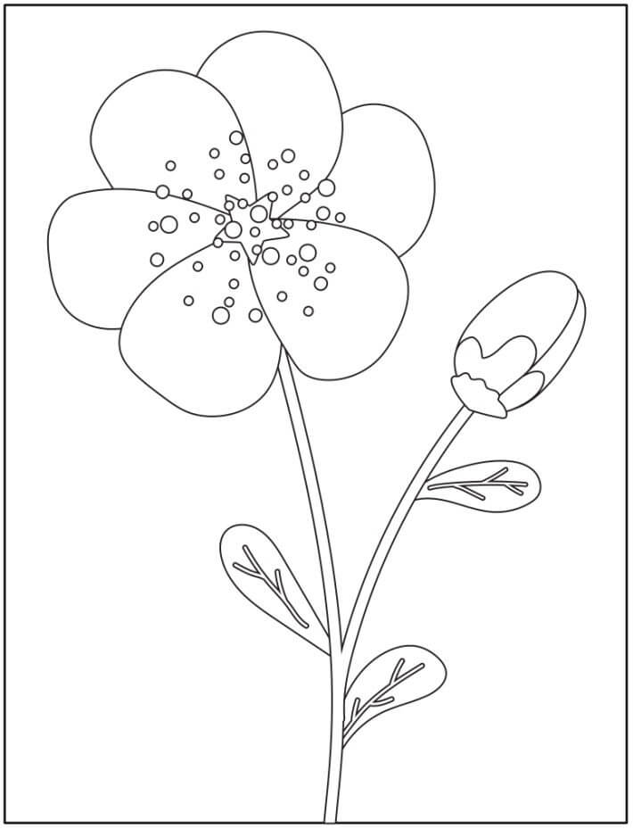 Fleur Coloriage par Numéro coloring page