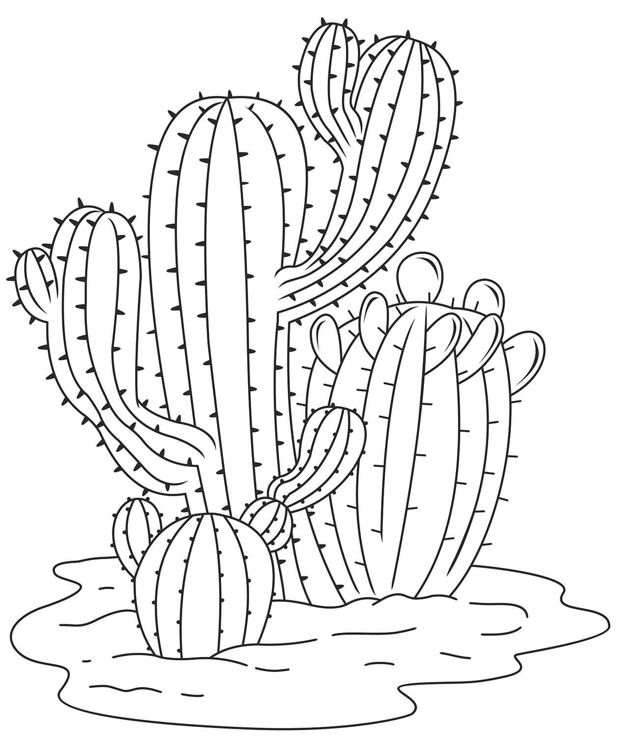 Coloriage Image de cactus de haute qualité