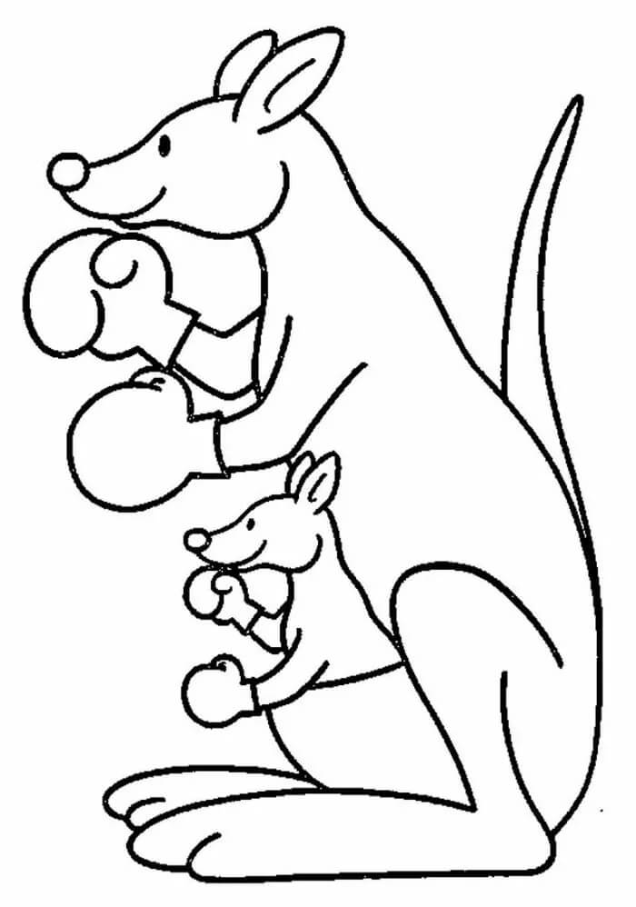 Boxe Kangourou coloring page