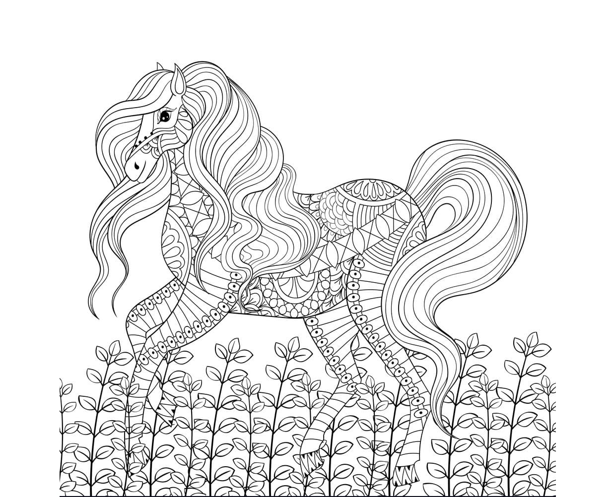 Cheval Anti-stress coloring page