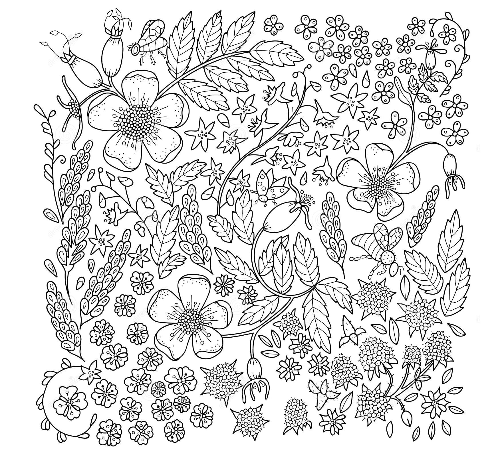 Fleurs Anti-stress coloring page