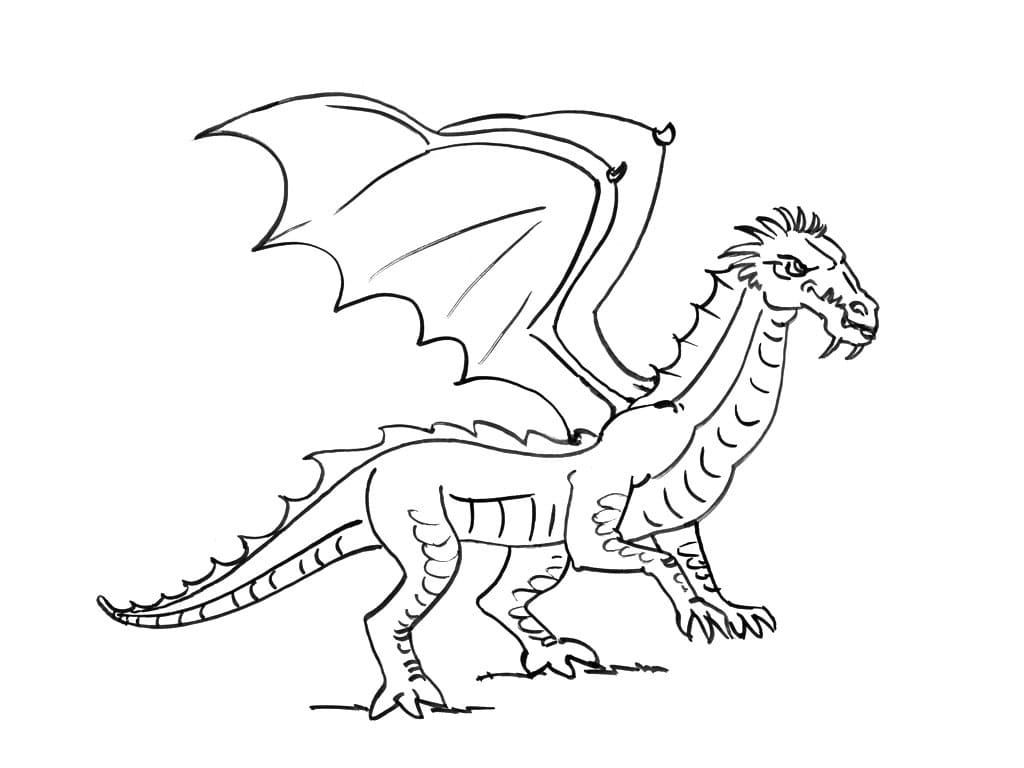 Coloriage Dragon Normal