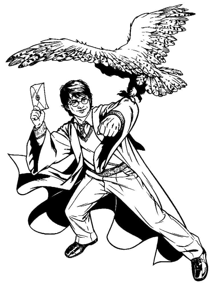 Harry Potter et Hedwige coloring page