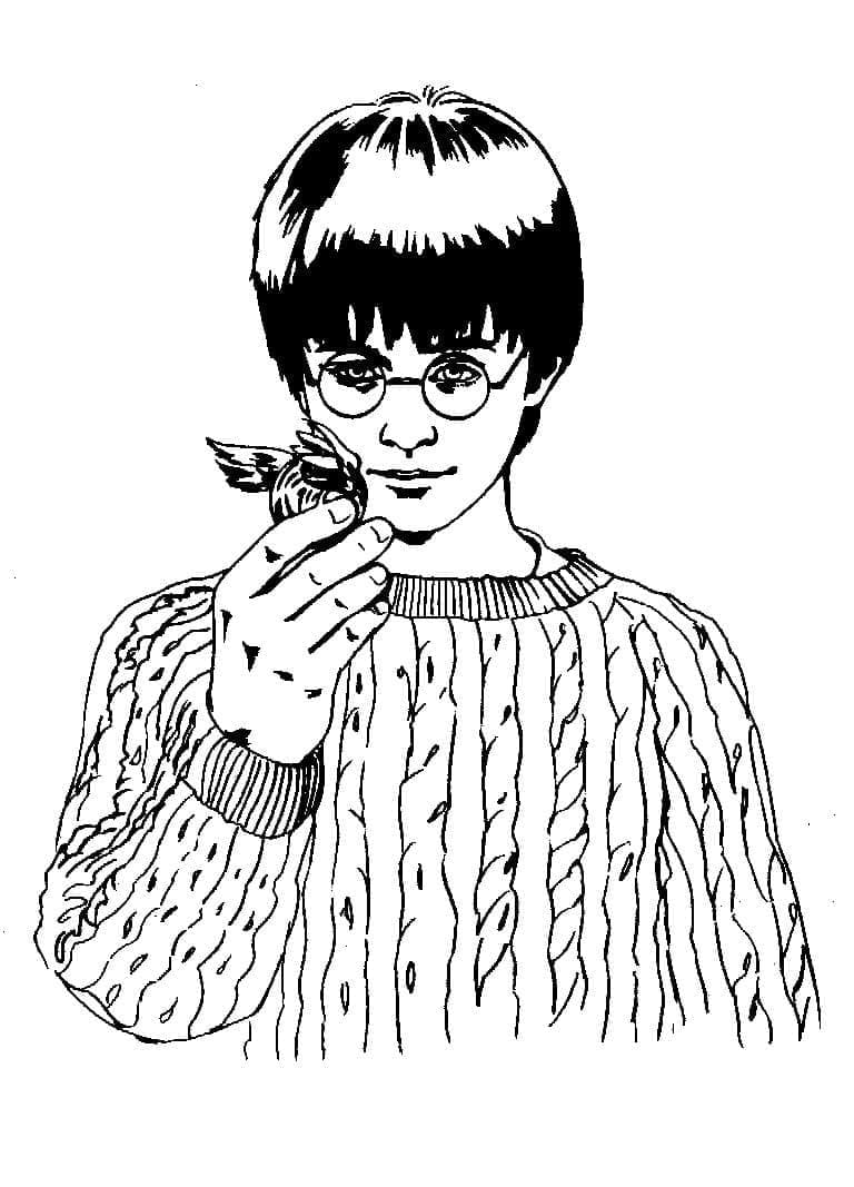 Harry Potter et Vif d’or coloring page