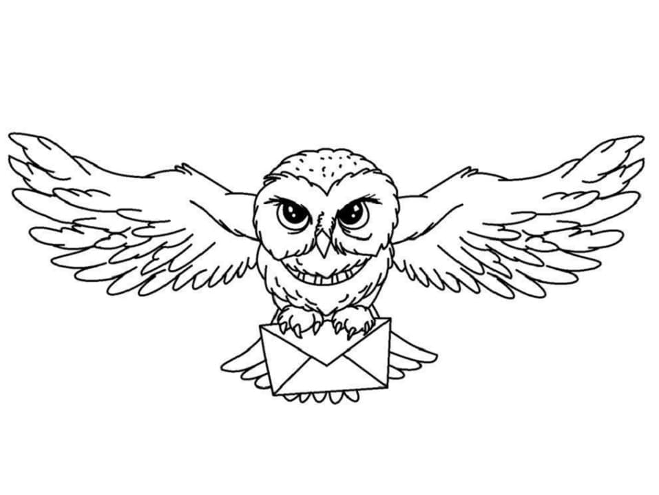 Hedwige Chouette de Harry Potter coloring page