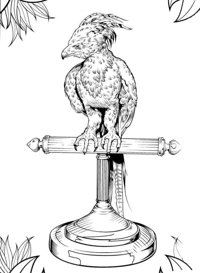 Phénix Fumseck de Harry Potter coloring page