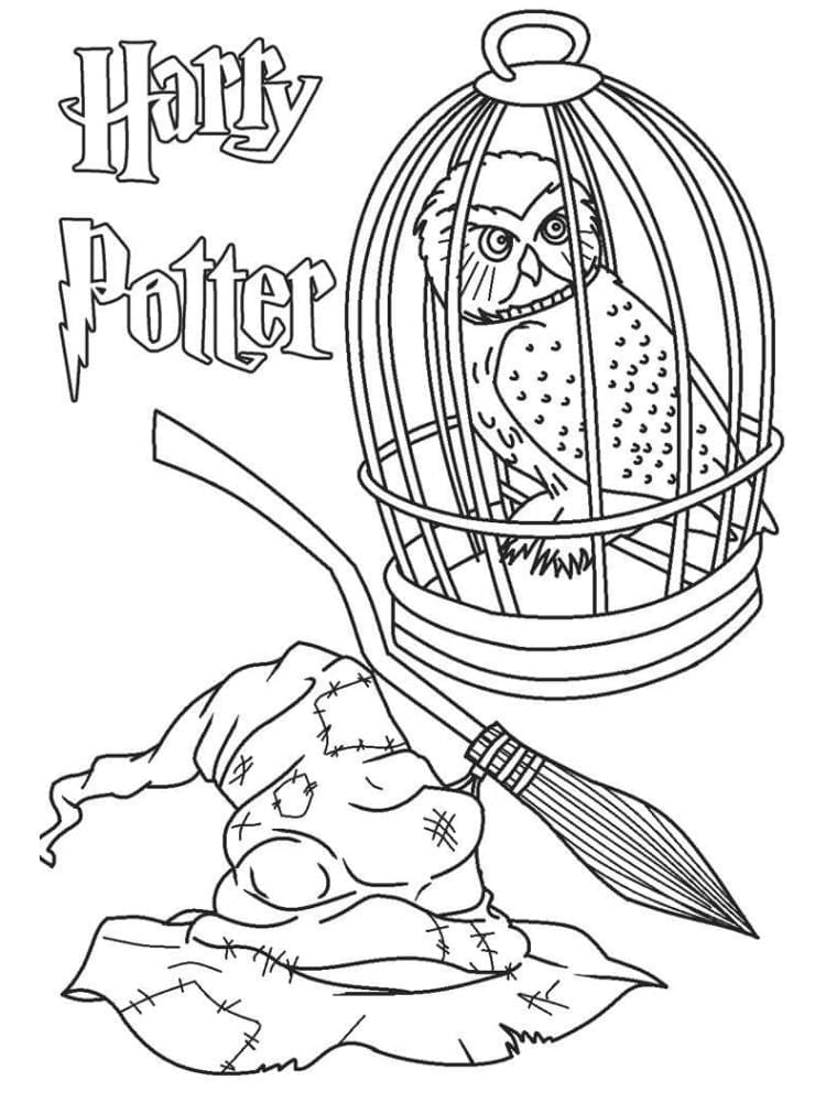 Photo de Harry Potter coloring page