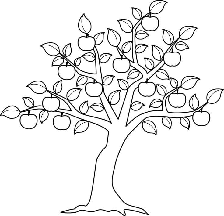 Pommier 10 coloring page