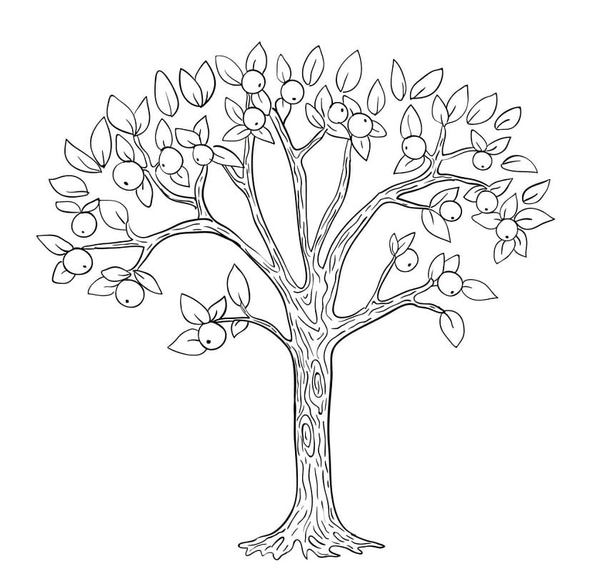 Pommier 11 coloring page