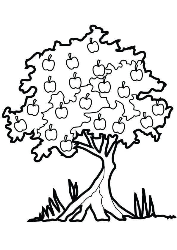 Pommier 12 coloring page