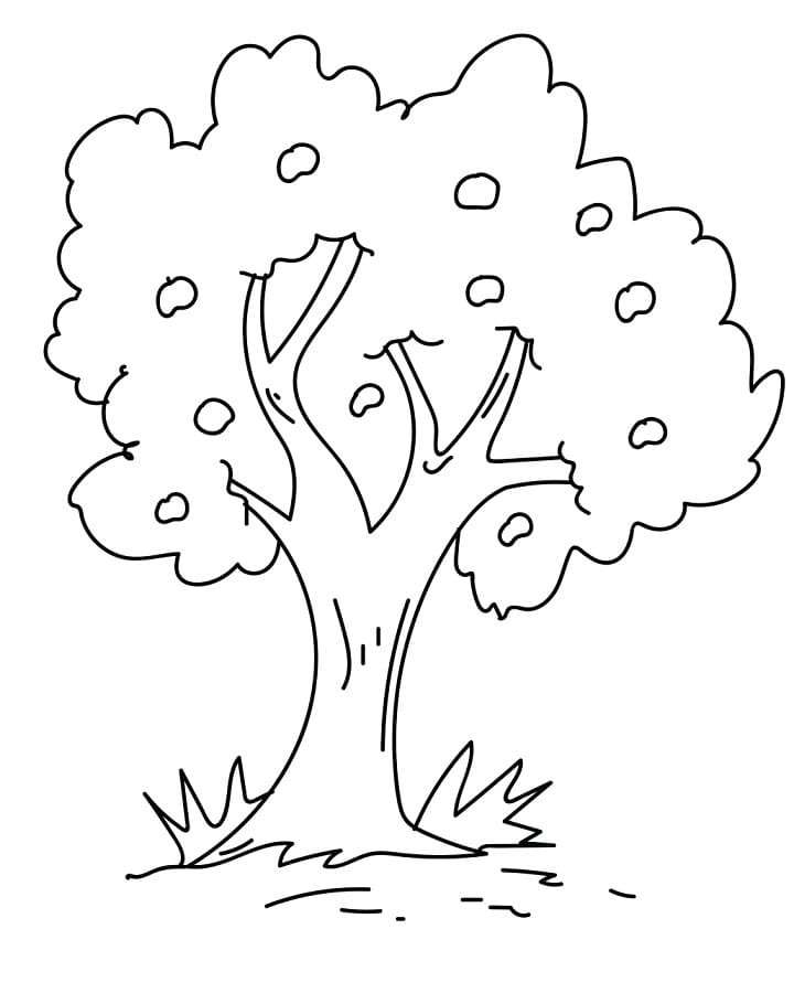 Pommier 14 coloring page