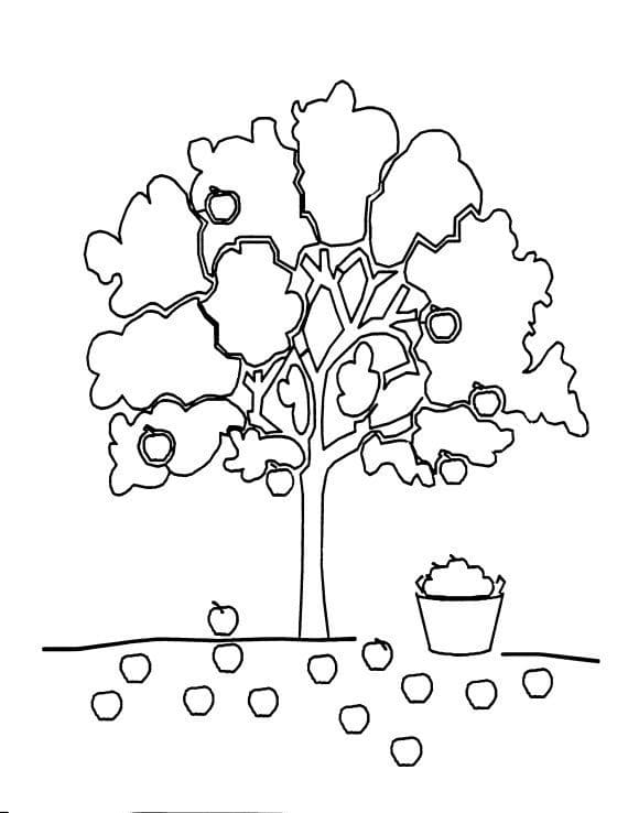 Pommier 16 coloring page