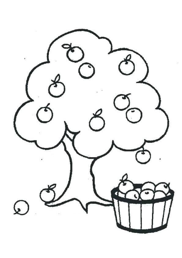 Pommier 3 coloring page