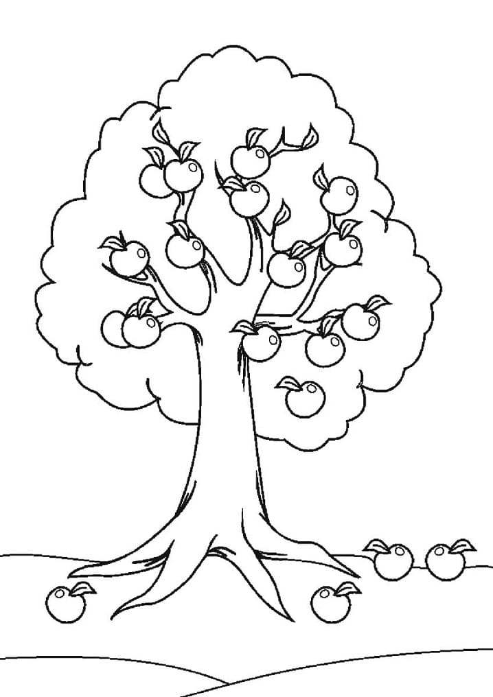 Pommier 6 coloring page